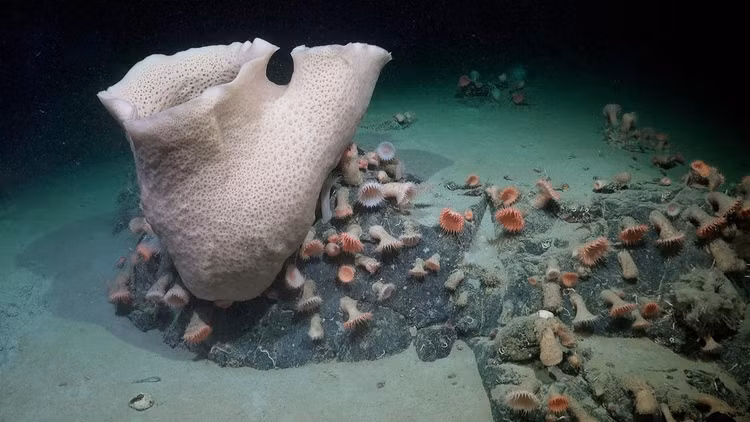 Tang bang troi khong lo tach ra, 