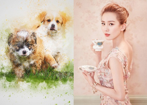 Du doan tuan moi (14/11 - 20/11/2022) cho 12 con giap: 3 tuoi phat het co-Hinh-11