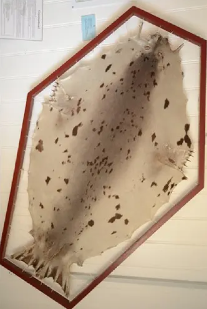 Tan muc “cuon sach long” thoi Trung co duoc dong bang da hai cau-Hinh-4