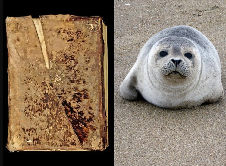 Tan muc “cuon sach long” thoi Trung co duoc dong bang da hai cau-Hinh-7