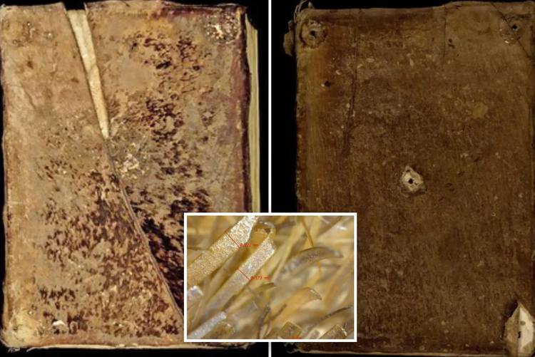 Tan muc “cuon sach long” thoi Trung co duoc dong bang da hai cau-Hinh-5