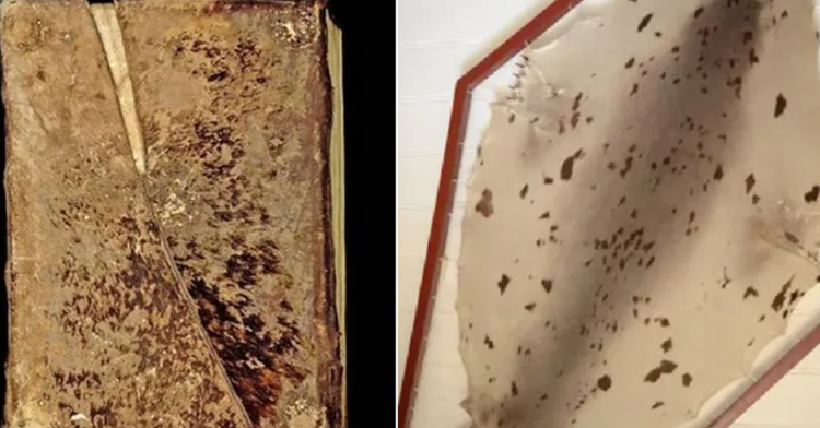 Tan muc “cuon sach long” thoi Trung co duoc dong bang da hai cau-Hinh-9