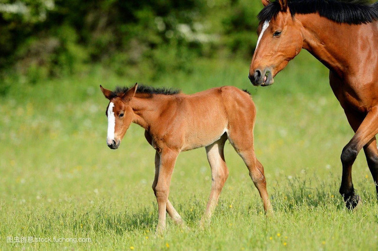 Du doan ngay moi 31/10/2022 cho 12 con giap: Ty boi thu, Suu hoang phi-Hinh-7