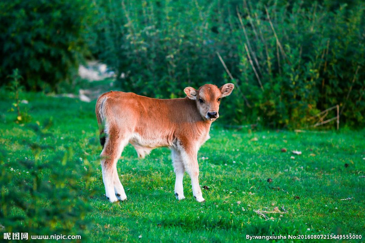 Trung Thu 2023: Ai den cu den, 3 tuoi nay nhat dinh giau sung tuc-Hinh-2