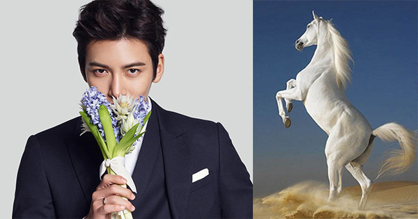 Từ 27/7 - 5/8/2023: Ba con giáp quét sạch tai ương, ngồi không hưởng lộc lớn - Hình 2 Tu 27/7 - 5/8/2023: Ba con giap quet sach tai uong, ngoi khong huong loc lon-Hinh-2