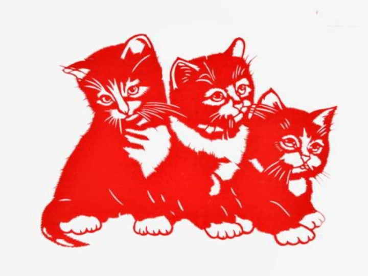 Dự đoán ngày mới 11/08/2023 cho 12 con giáp: Tuất đề phòng, Dần bội thu - Hình 4 Du doan ngay moi 11/08/2023 cho 12 con giap: Tuat de phong, Dan boi thu-Hinh-4