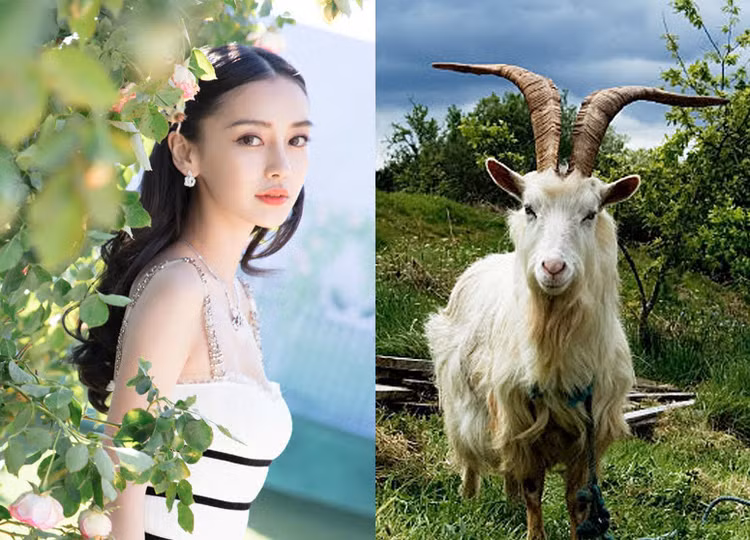 Du doan tuan moi (5/6 - 11/6/2023) cho 12 con giap: Dan Mao Ngo my man-Hinh-8