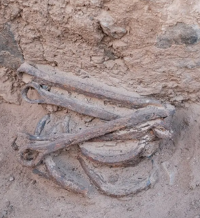 Su that tan bao sau dau vet xieng xich tai mo vang Ai Cap-Hinh-7