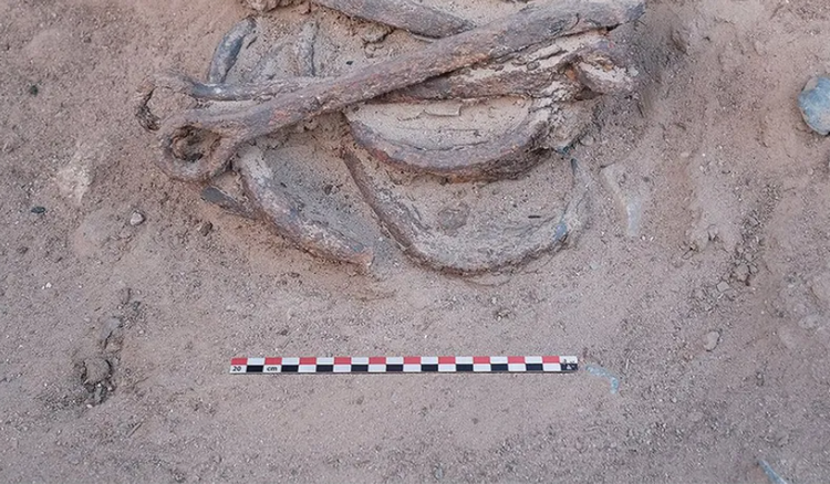 Su that tan bao sau dau vet xieng xich tai mo vang Ai Cap-Hinh-8