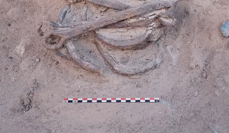 Su that tan bao sau dau vet xieng xich tai mo vang Ai Cap-Hinh-8