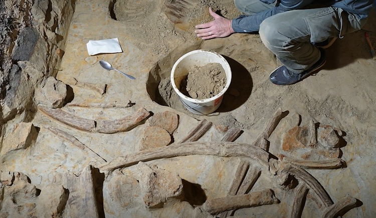 Sua ham ruou, choang nang thay xuong ma mut 40.000 tuoi chat dong-Hinh-4