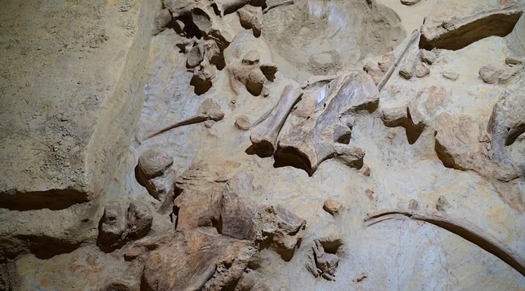 Sua ham ruou, choang nang thay xuong ma mut 40.000 tuoi chat dong-Hinh-5