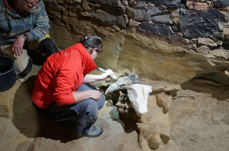 Sua ham ruou, choang nang thay xuong ma mut 40.000 tuoi chat dong-Hinh-6