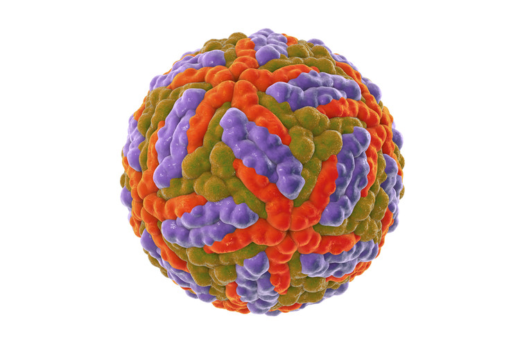 Su that nha khoa hoc hy sinh ban than de muoi dot... den chet-Hinh-8