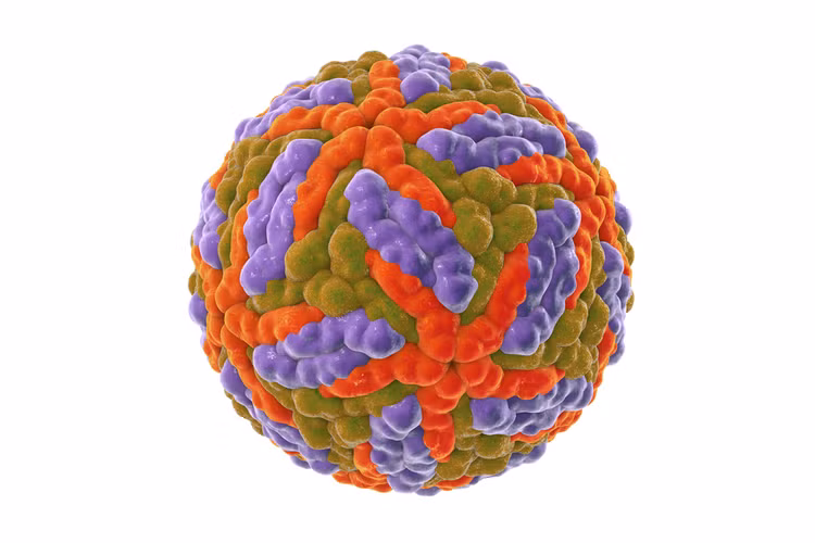 Su that nha khoa hoc hy sinh ban than de muoi dot... den chet-Hinh-8