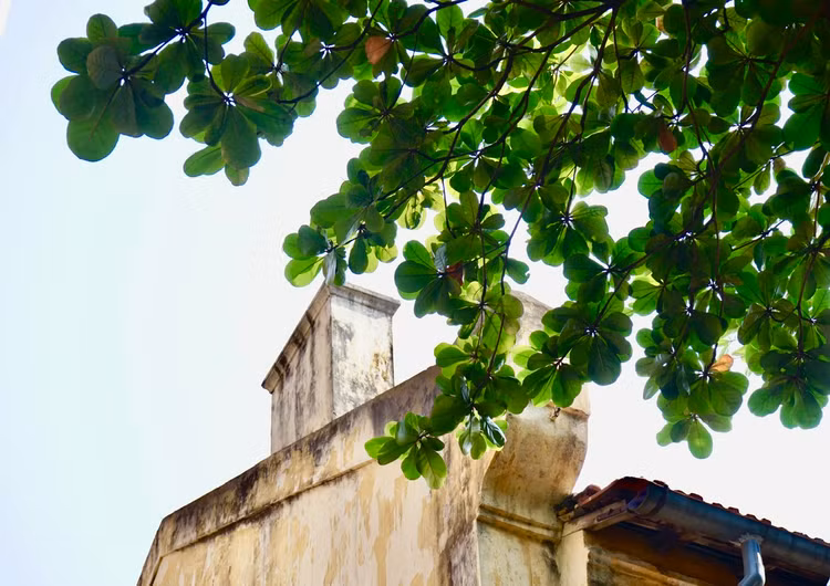 Chuyện chưa kể về 'bàng hiệp sĩ' trong Nhà tù Hỏa Lò Chuyen chua ke ve 'bang hiep si' trong Nha tu Hoa Lo