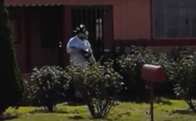 Cuoc cham tran kinh hoang giua con nguoi va dong vat bay dan-Hinh-9