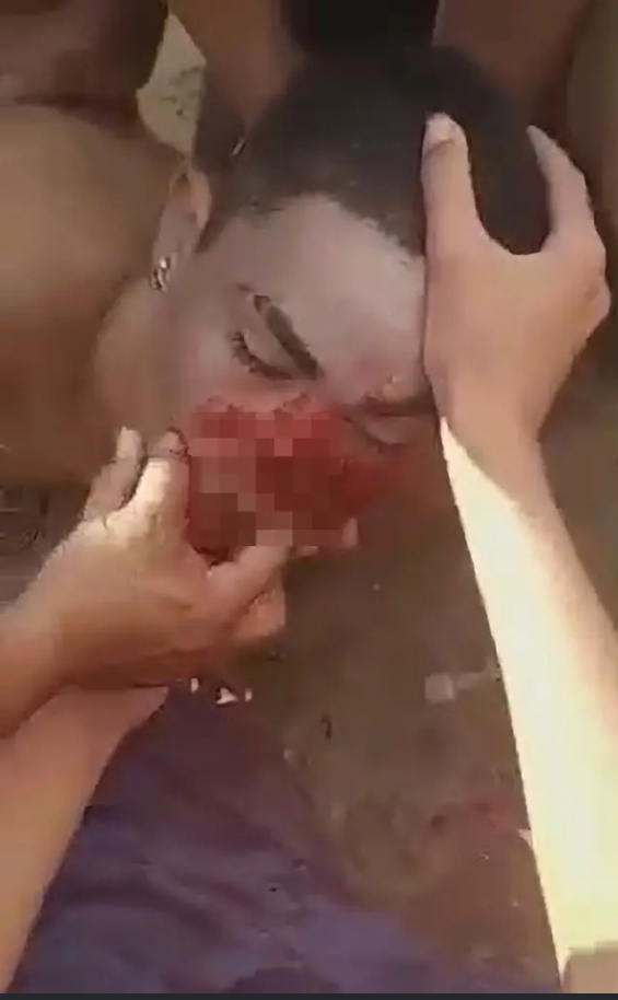 Cuoc cham tran kinh hoang giua con nguoi va dong vat bay dan-Hinh-6