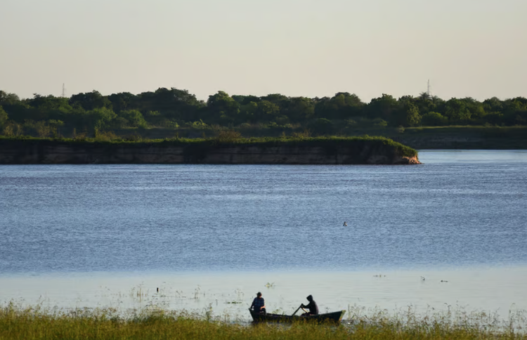Cuoc cham tran kinh hoang giua con nguoi va dong vat bay dan-Hinh-5