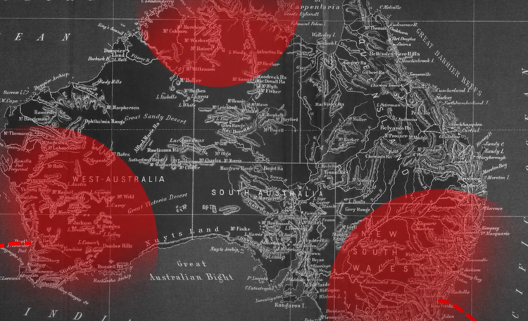 Cuoc cham tran kinh hoang giua con nguoi va dong vat bay dan-Hinh-13