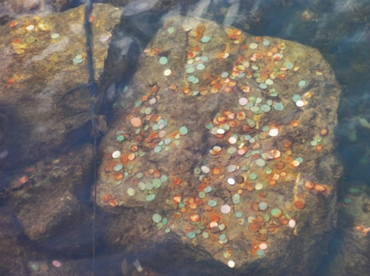 Nhung nghi le doc la chi co tren tau xuyen Dai Tay Duong-Hinh-15