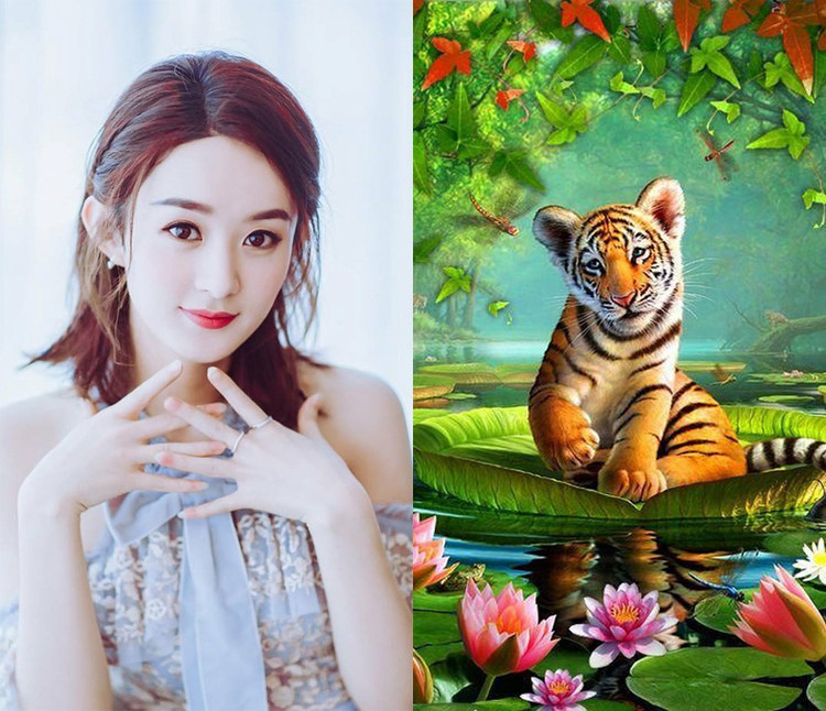 Du doan ngay moi 18/12/2022 cho 12 con giap: Dan vuong duyen, Tuat hoang phi-Hinh-3