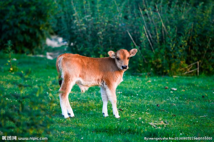 Du doan ngay moi 24/09/2023 cho 12 con giap: Ty do van, Than dung dang-Hinh-2