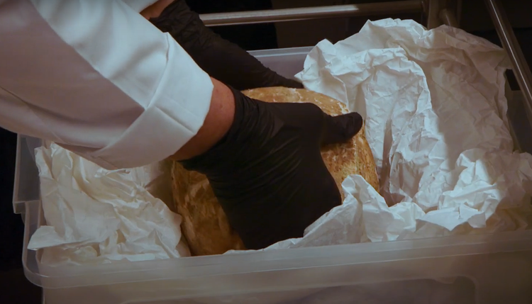 Khai quat binh nga voi 6.000 nam tuoi, chan dong lai lich that-Hinh-13