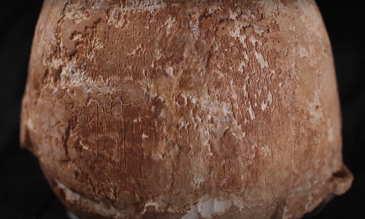 Khai quat binh nga voi 6.000 nam tuoi, chan dong lai lich that-Hinh-14