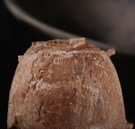 Khai quat binh nga voi 6.000 nam tuoi, chan dong lai lich that-Hinh-8