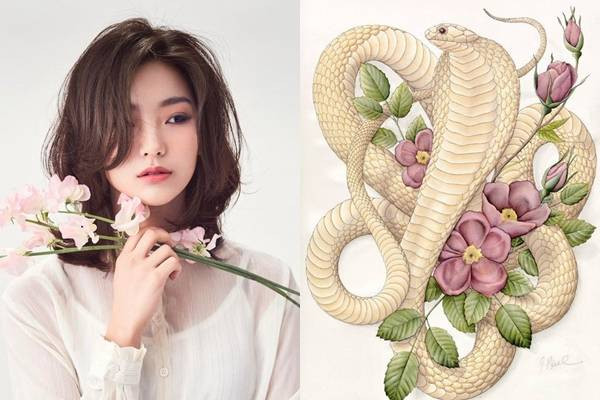 Ba con giáp nữ vượng phu ích tử, lấy được giàu có một đời - Hình 3 Ba con giap nu vuong phu ich tu, lay duoc giau co mot doi-Hinh-3