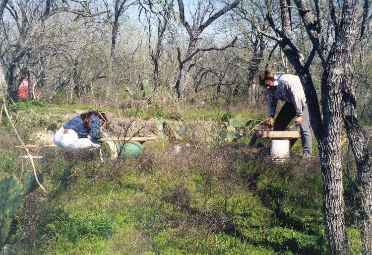 Dieu rung ron it biet ve nghia trang co xua nhat nuoc My