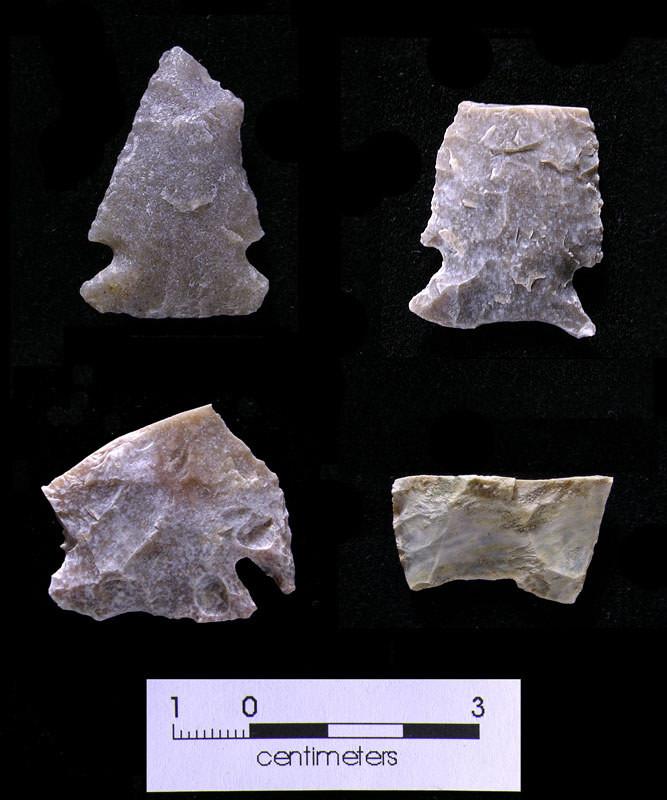 Dieu rung ron it biet ve nghia trang co xua nhat nuoc My-Hinh-6