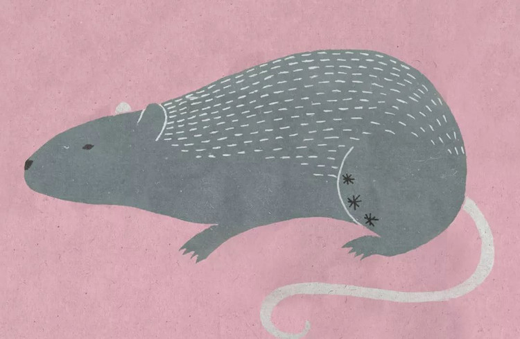 Than Tai nha via: Bon con giap giau bat thinh linh 25 ngay toi-Hinh-7