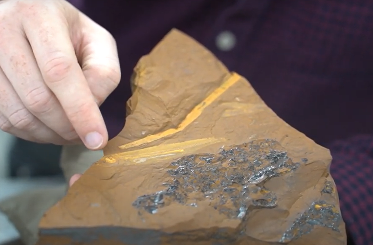 Lo thu hoan hao trong hoa thach ca 15 trieu nam, chuyen gia sung so-Hinh-4