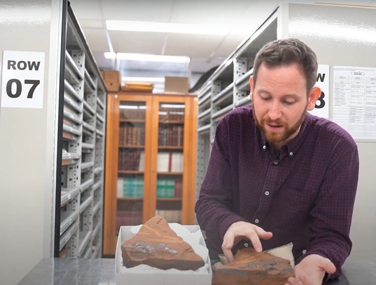 Lo thu hoan hao trong hoa thach ca 15 trieu nam, chuyen gia sung so-Hinh-2