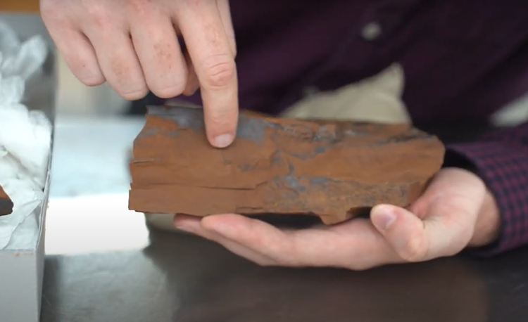 Lo thu hoan hao trong hoa thach ca 15 trieu nam, chuyen gia sung so-Hinh-3