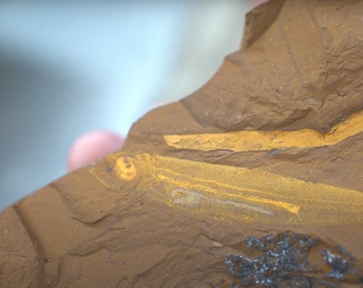 Lo thu hoan hao trong hoa thach ca 15 trieu nam, chuyen gia sung so-Hinh-5