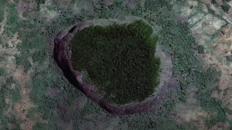 Bi an rung ron trong rung nhiet doi, chuyen gia nhoc nhan giai ma-Hinh-3