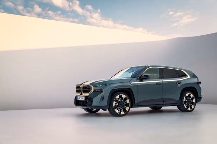 BMW XM gia hon 10 ty dong dau tien ra bien so tai Viet Nam-Hinh-7