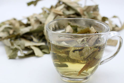 Kinh ngạc loại lá “vua hút mỡ”, mùa hè rất nhiều - Hình 8 Vì sao lá sen được mệnh danh "siêu hút mỡ"? ảnh 8