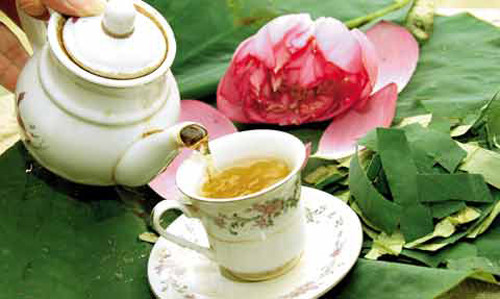 Kinh ngạc loại lá “vua hút mỡ”, mùa hè rất nhiều - Hình 6 Vì sao lá sen được mệnh danh "siêu hút mỡ"? ảnh 6