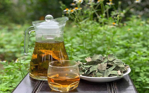 Kinh ngạc loại lá “vua hút mỡ”, mùa hè rất nhiều Vì sao lá sen được mệnh danh "siêu hút mỡ"? ảnh 1