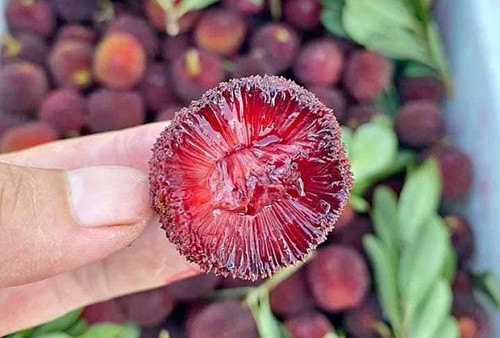 Giật mình loại quả dễ chứa kí sinh trùng, trụng nước sôi không hết - Hình 5