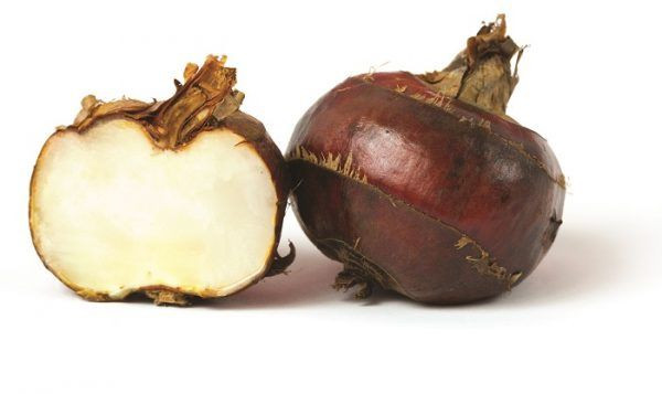 Giật mình loại quả dễ chứa kí sinh trùng, trụng nước sôi không hết - Hình 7