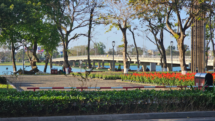 Can canh linh vat rong dai 30m chao xuan sap trinh lang o Hue-Hinh-5