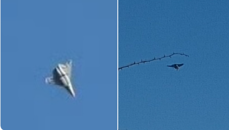 Bí ẩn tiêm kích tàng hình thế hệ 6 mới của Trung Quốc - Hình 2 Bi an tiem kich tang hinh the he 6 moi cua Trung Quoc-Hinh-2