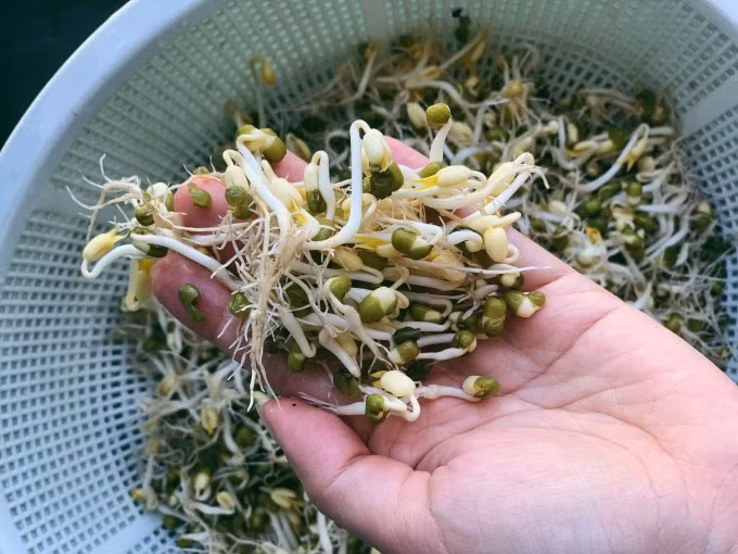 Cach don gian phan biet gia do ngam hoa chat bang mat thuong-Hinh-10