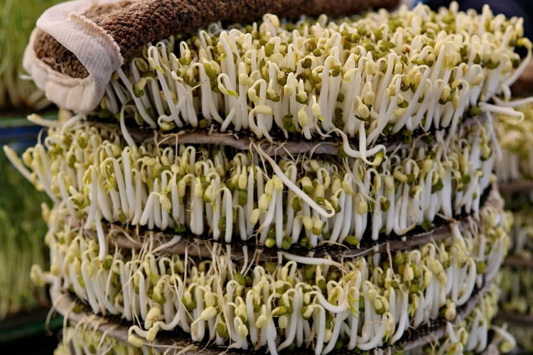 Cach don gian phan biet gia do ngam hoa chat bang mat thuong-Hinh-6