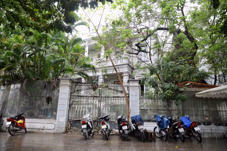 Can canh loat biet thu co duoc uu tien kiem dinh de bao ton-Hinh-4